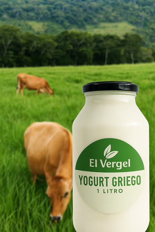 Yogurt Griego Sin azucar artesanal